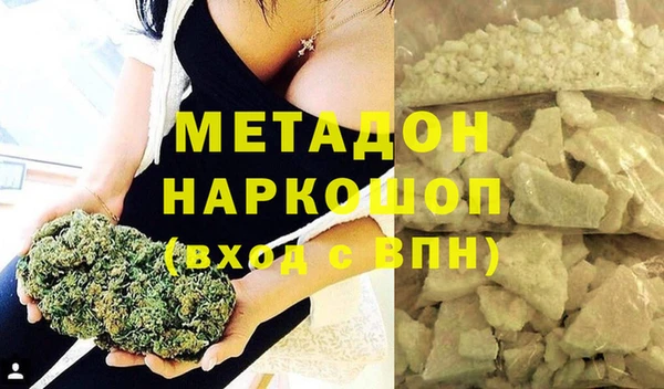 PSILOCYBIN Белокуриха