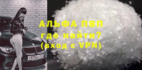 PSILOCYBIN Белокуриха