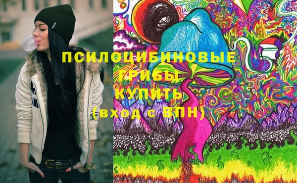 PSILOCYBIN Белокуриха